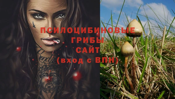 jwh Аркадак