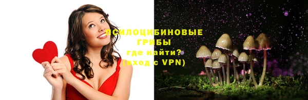 mdpv Армянск