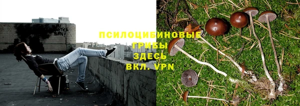 mdpv Армянск