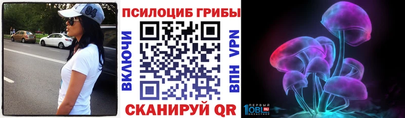 сколько стоит  Свирск  Псилоцибиновые грибы Cubensis 
