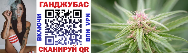 Конопля сатива  Свирск 